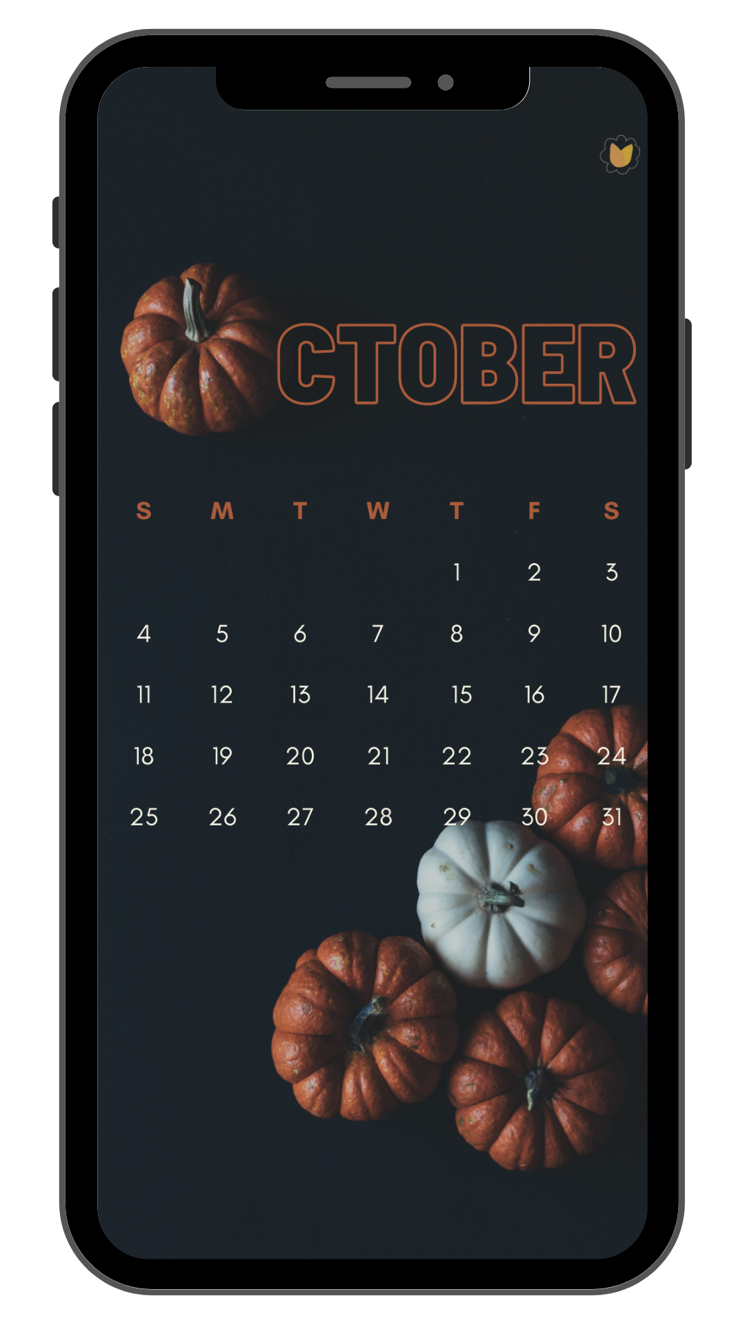 ETS October 2020 Pumpkin Phone Wallpaper_LP1